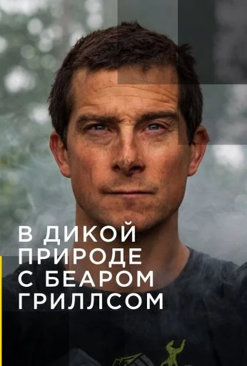 В дикой природе с Беаром Гриллсом (2014) онлайн бесплатно